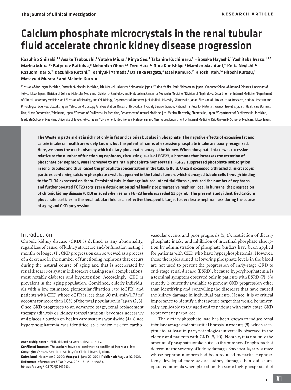 Calcium Phosphate Microcrystals in the Renal Tubular Fluid Accelerate Chronic Kidney Disease Progression