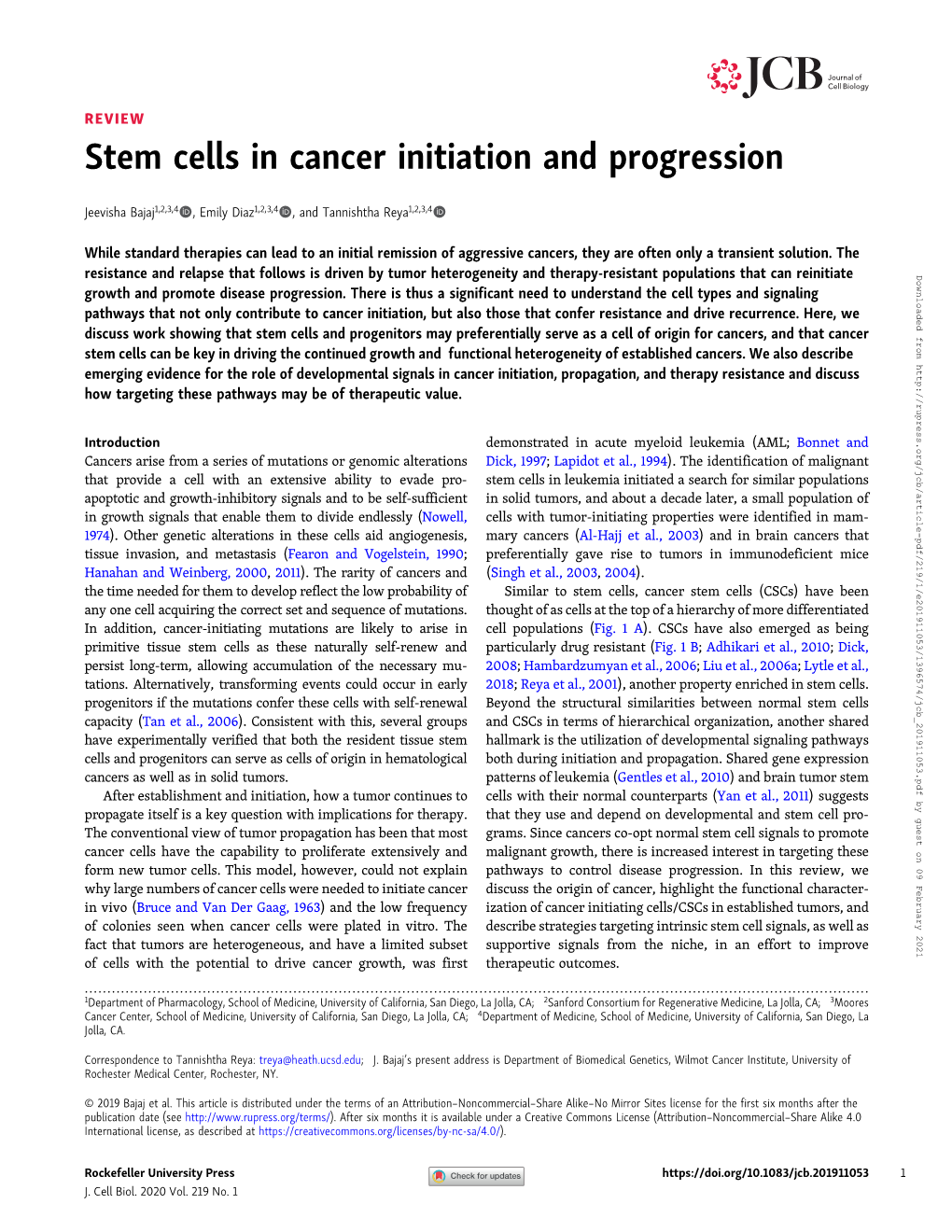 Stem Cells in Cancer Initiation and Progression