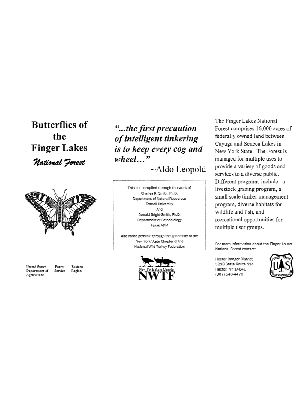 Butterflies of the Finger Lakes National Forest