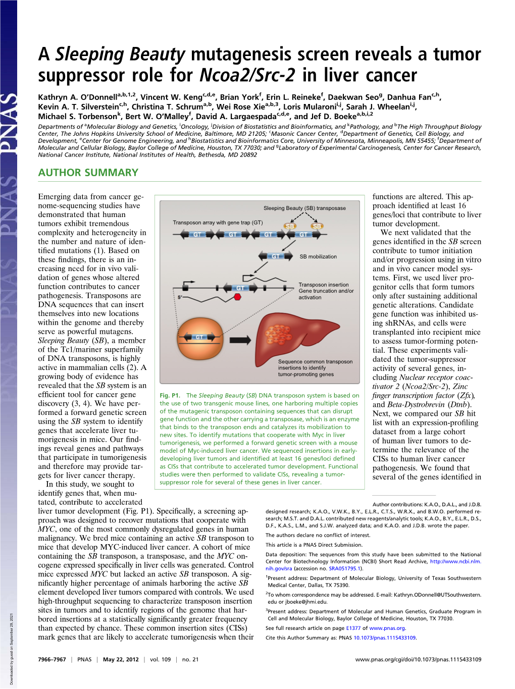 A Sleeping Beauty Mutagenesis Screen Reveals a Tumor Suppressor Role for Ncoa2/Src-2 in Liver Cancer