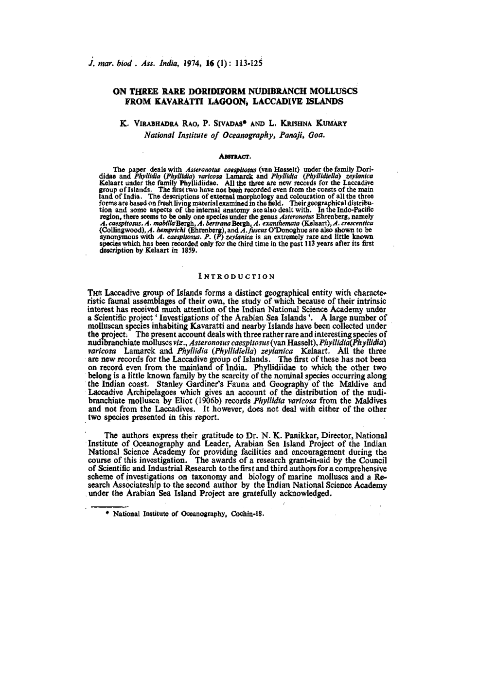 113-125 on Three Rare Doridiform Nudibranch