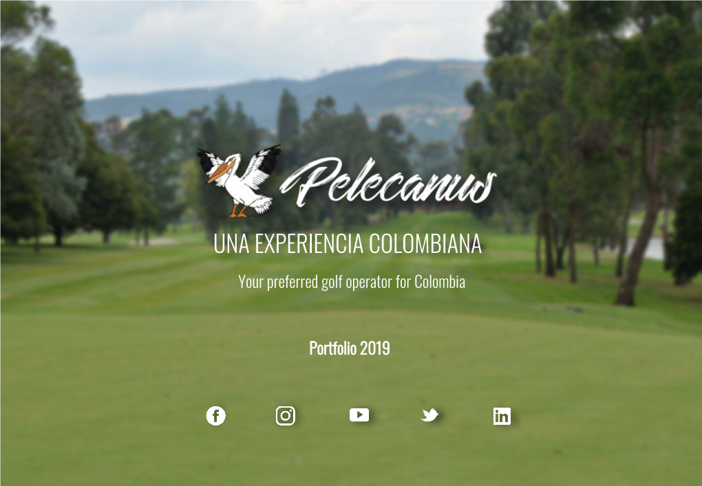 Portafolio Golf