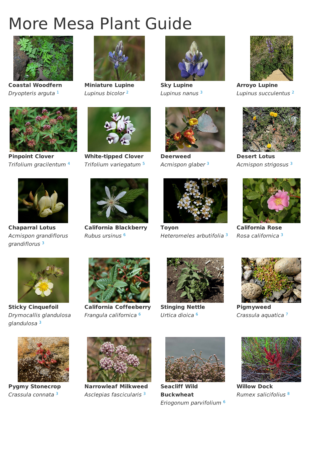 More Mesa Plant Guide