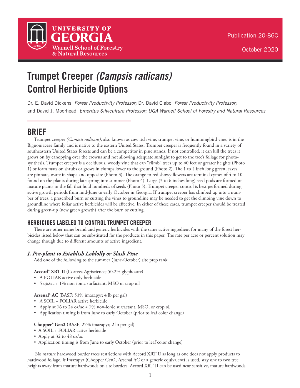 Trumpet Creeper (Campsis Radicans) Control Herbicide Options