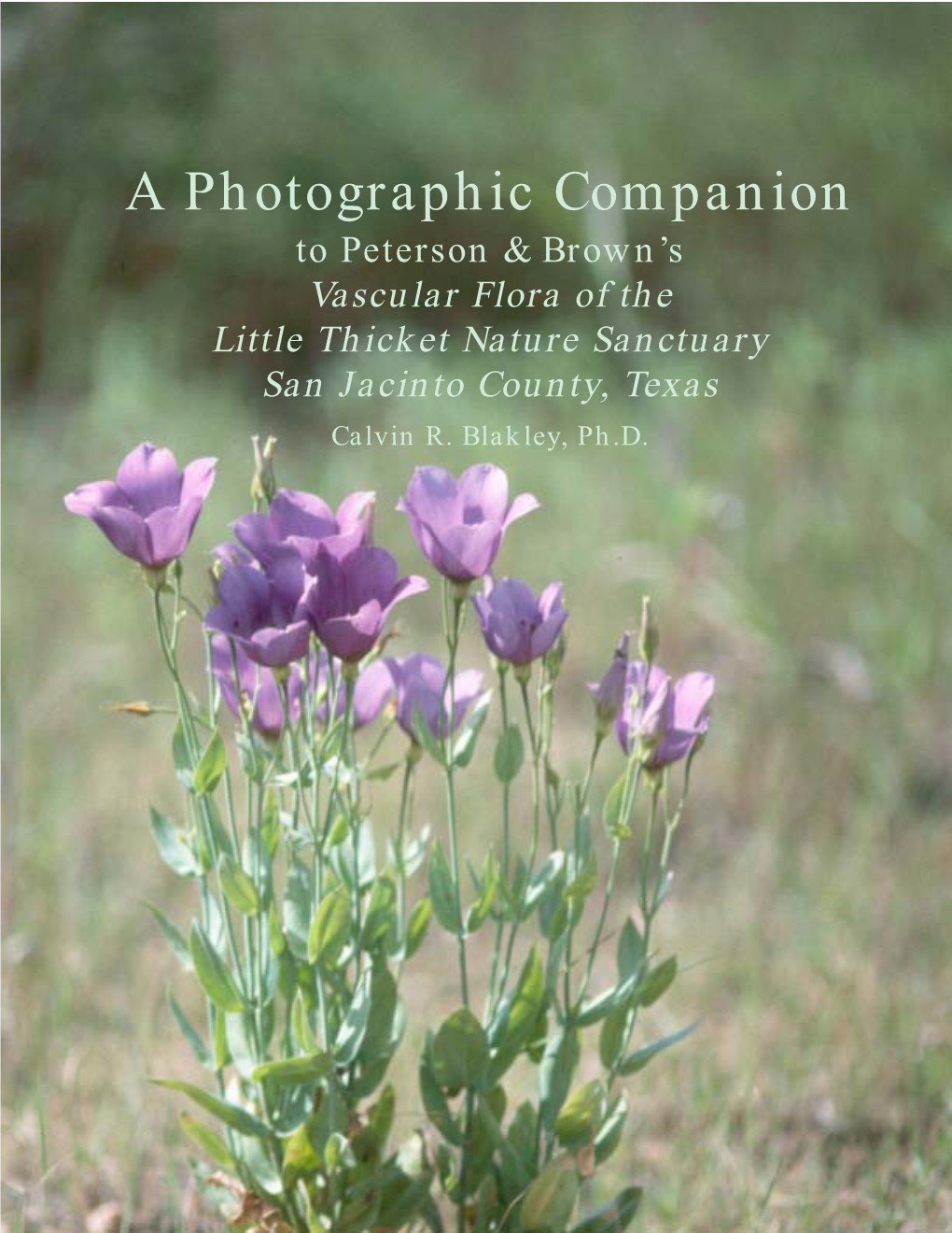 A Photographic Companion to Peterson & Brown’S Vascular Flora of the Little Thicket Nature Sanctuary San Jacinto County, Texas Calvin R