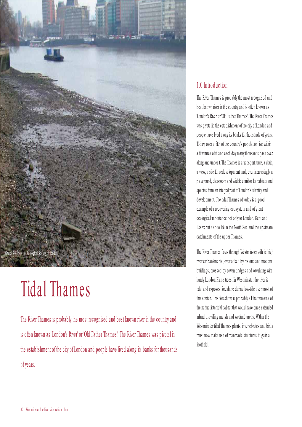 Tidal Thames