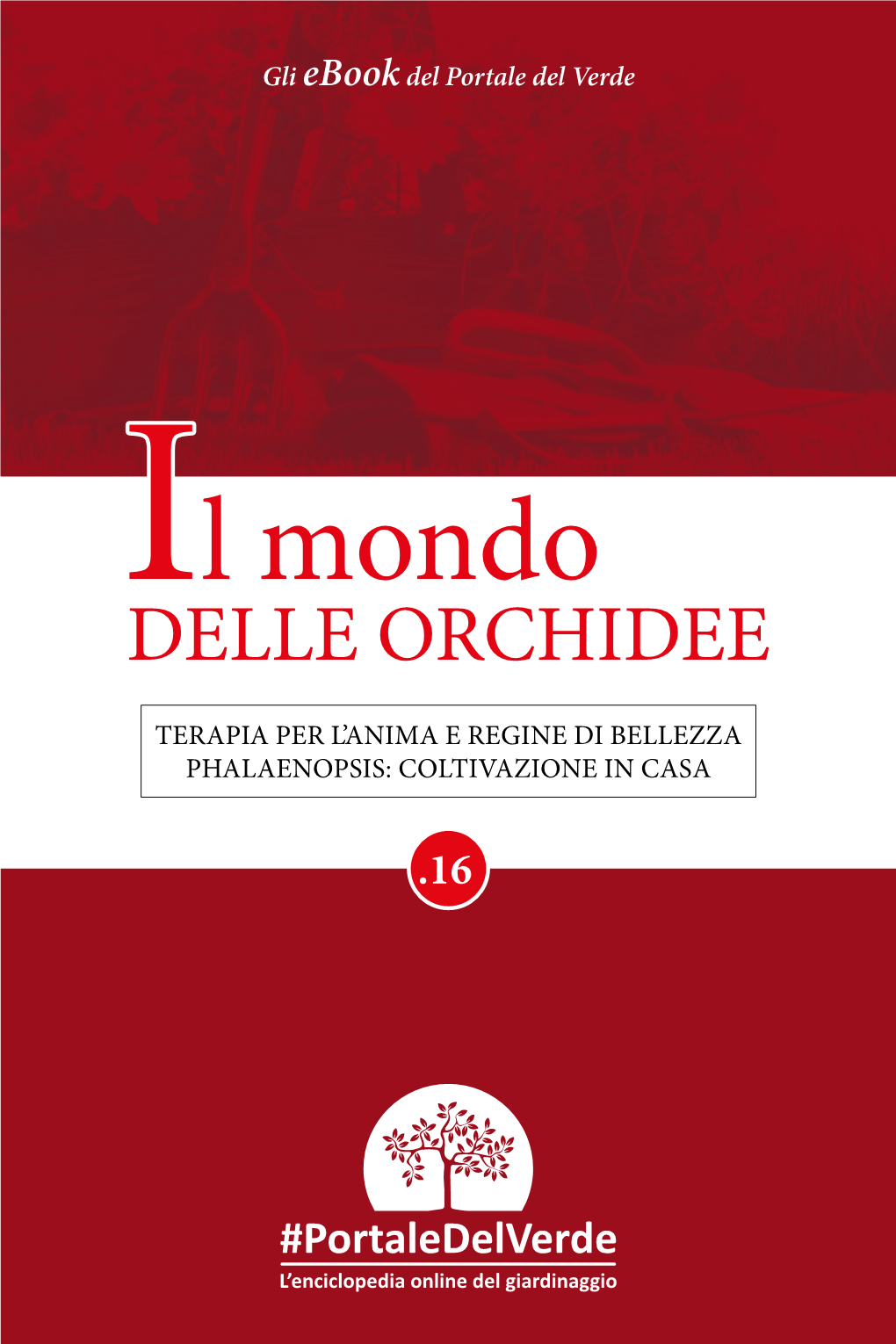 Il Mondo Delle Orchidee