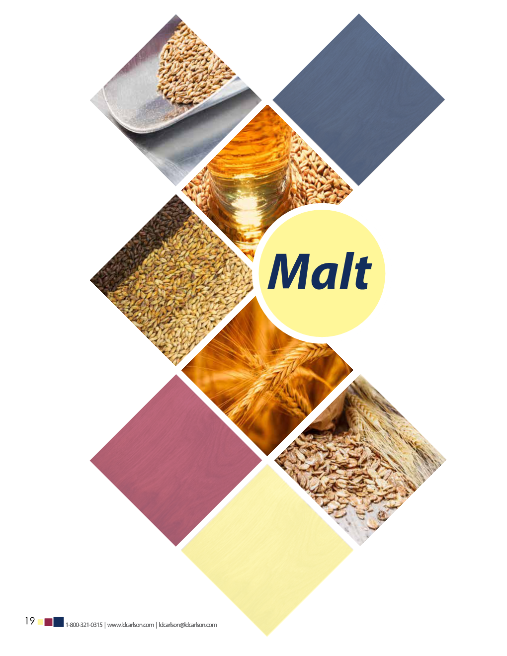 MALT Chapter 2.Pdf