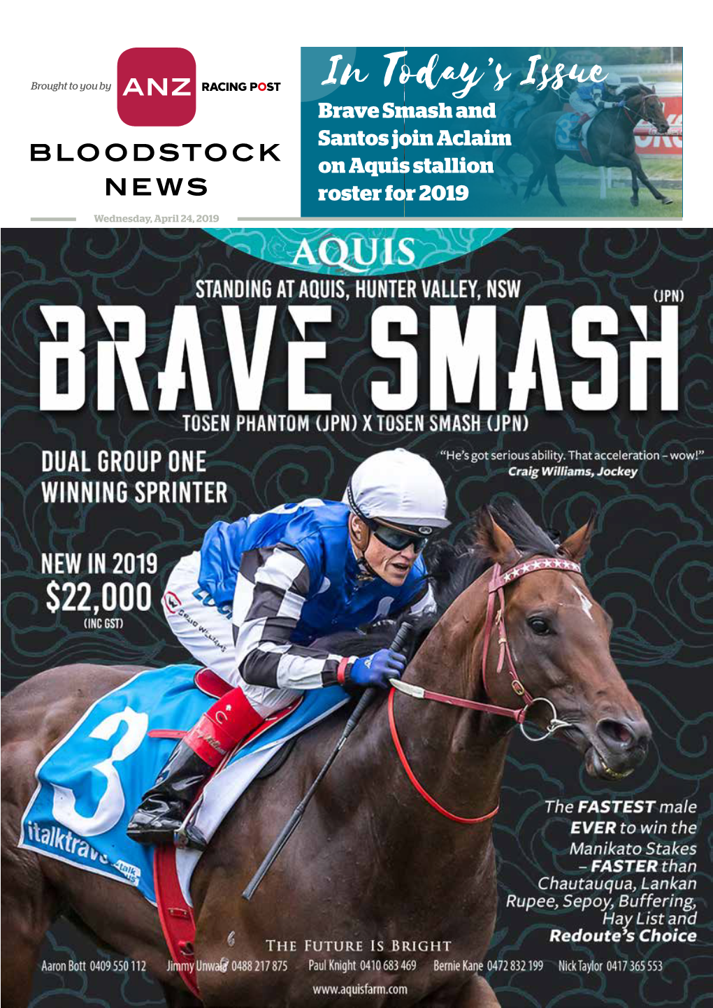 Brave Smash and Santos Join Aclaim on Aquis Stallion Roster for 2019