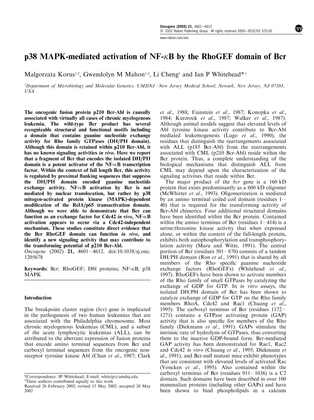 P38 MAPK-Mediated Activation of NF-Kb by the Rhogef Domain of Bcr