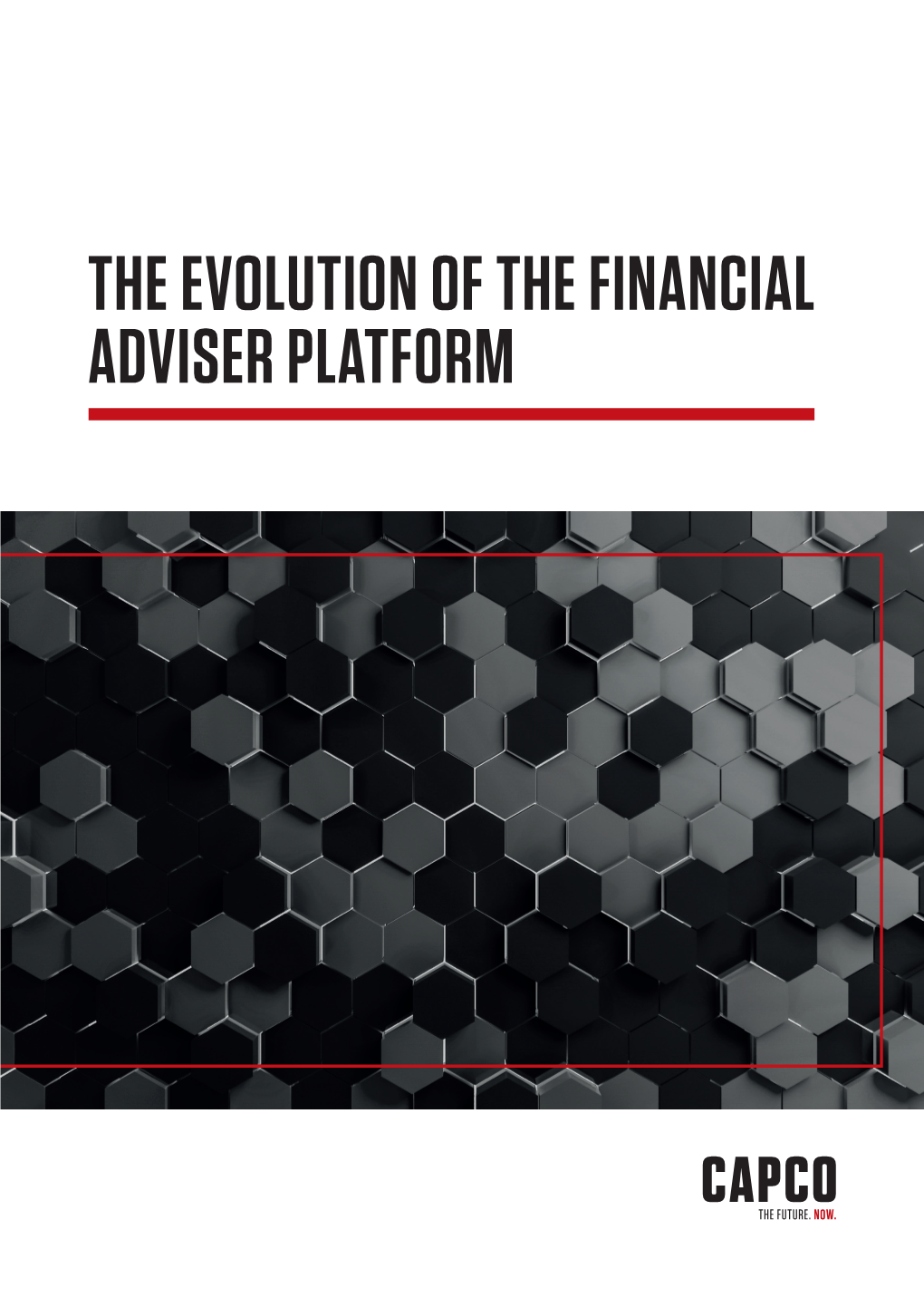 The Evolution of the Financial Adviser Platform