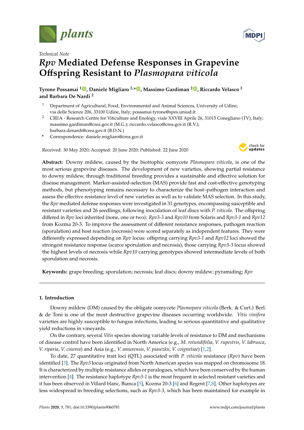 Rpv Mediated Defense Responses in Grapevine Offspring Resistant to Plasmopara Viticola