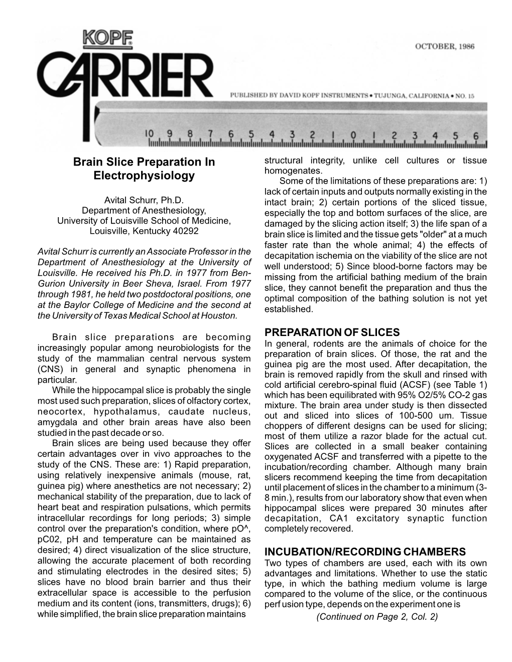 Brain Slice Preparation in Electrophysiology