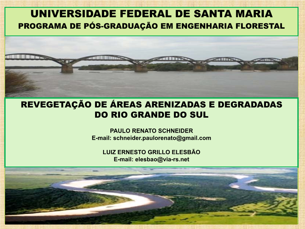 Universidade Federal De Santa Maria Programa De Pós-Graduação Em Engenharia Florestal