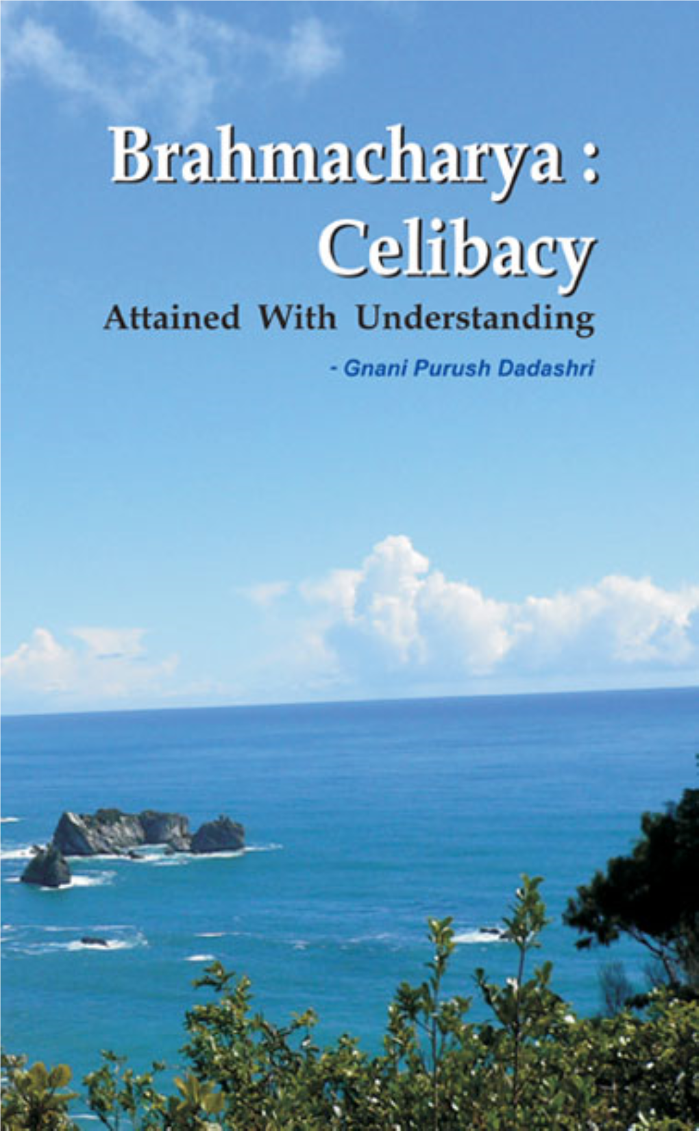 Celibacy.Pdf