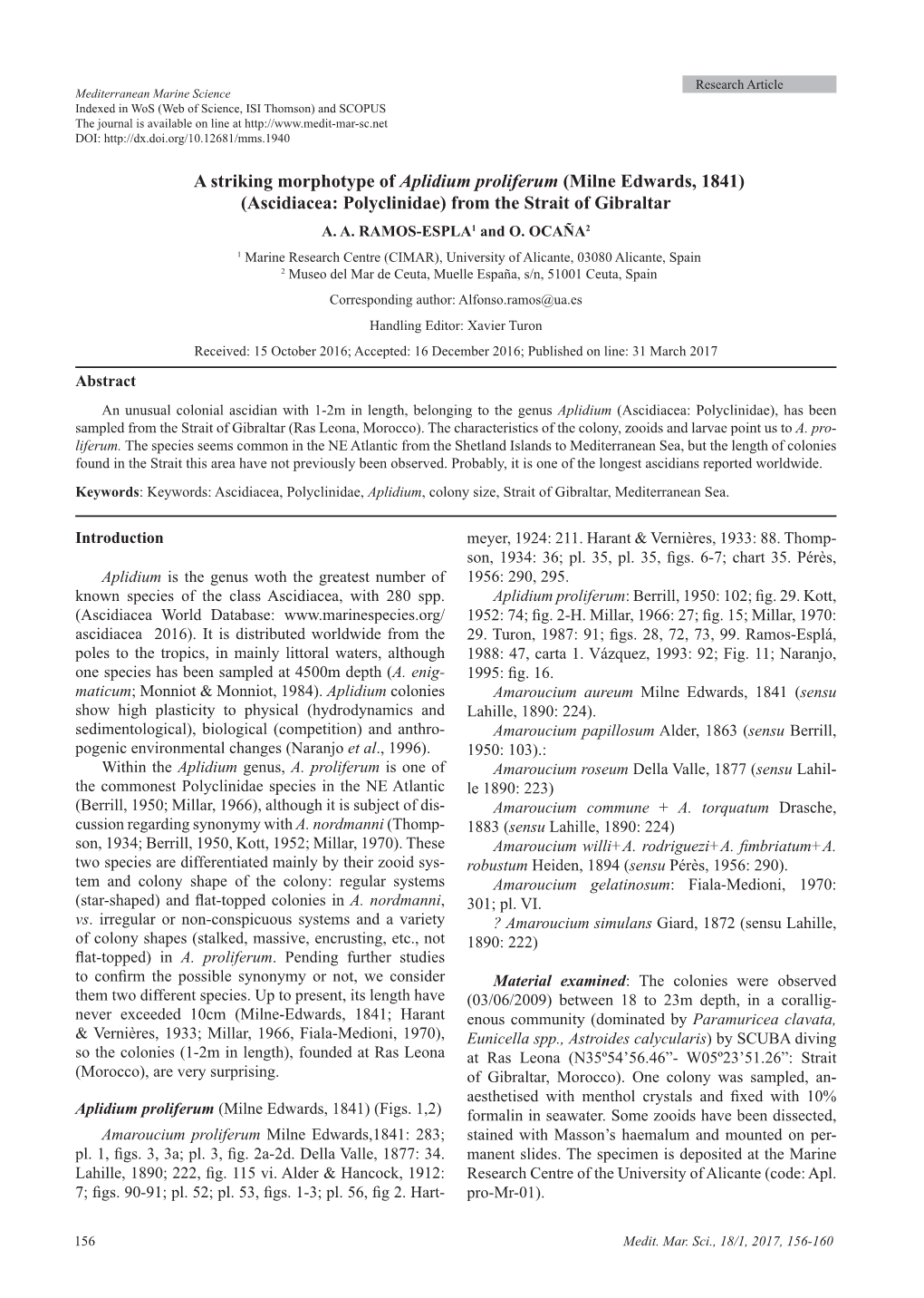 Ascidiacea: Polyclinidae) from the Strait of Gibraltar A