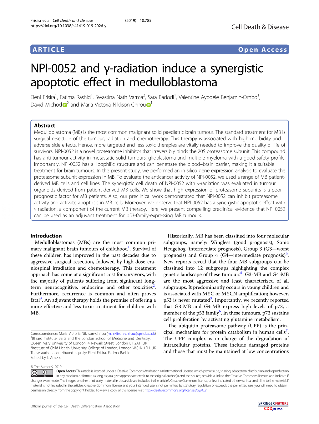 NPI-0052 and Γ-Radiation Induce a Synergistic Apoptotic Effect In