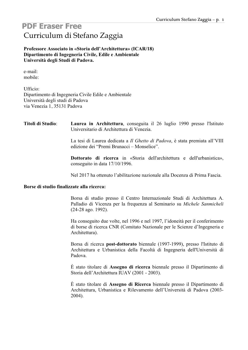 Curriculum Di Stefano Zaggia