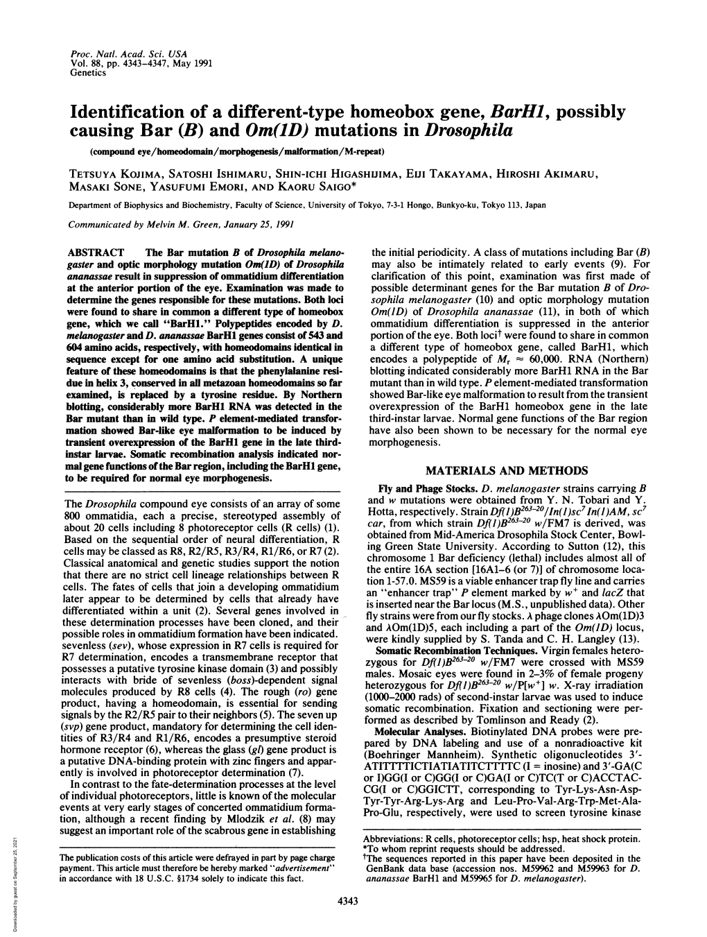 Identification of a Different-Type Homeobox Gene, Barhi, Possibly Causing Bar (B) and Om(Ld) Mutations in Drosophila