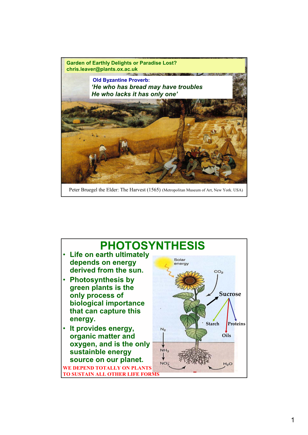 PHOTOSYNTHESIS • Life on Earth Ultimately Depends on Energy Derived from the Sun