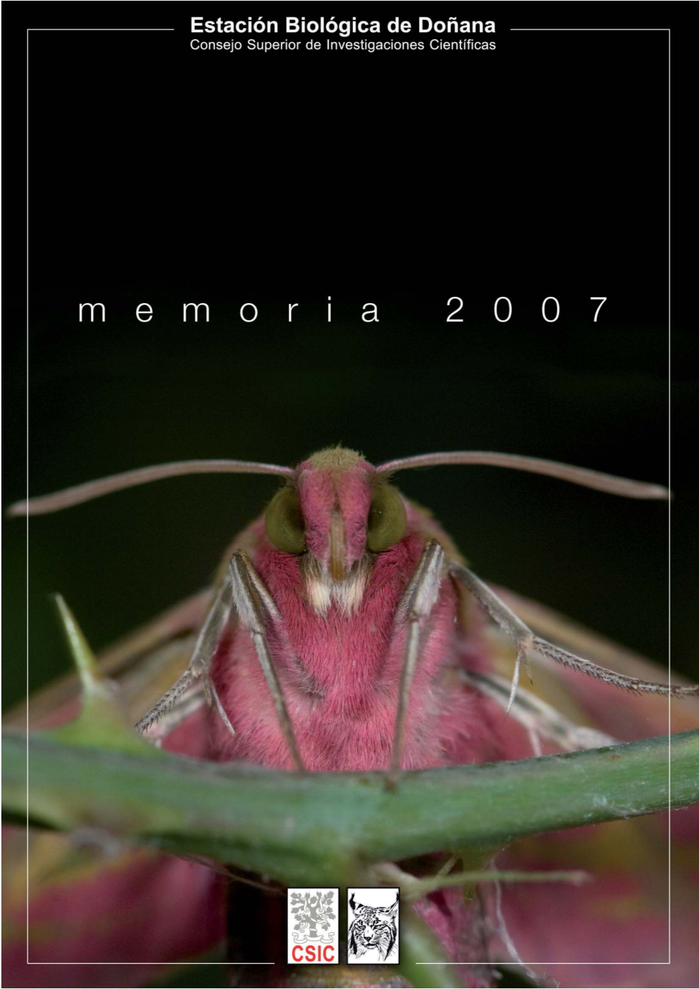 Memoria 2007.Pdf