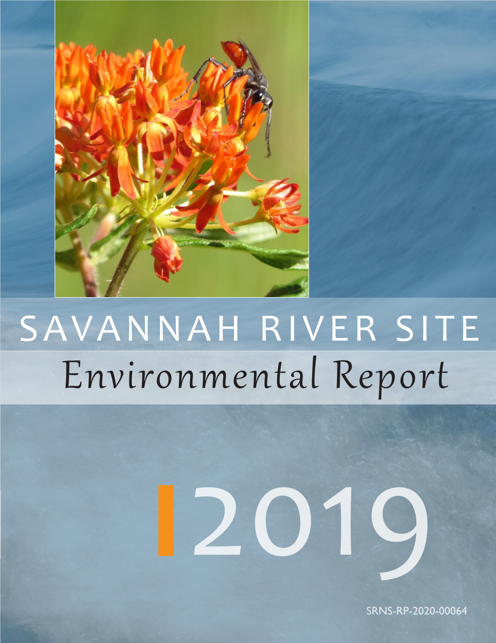 Environmental Report 2019