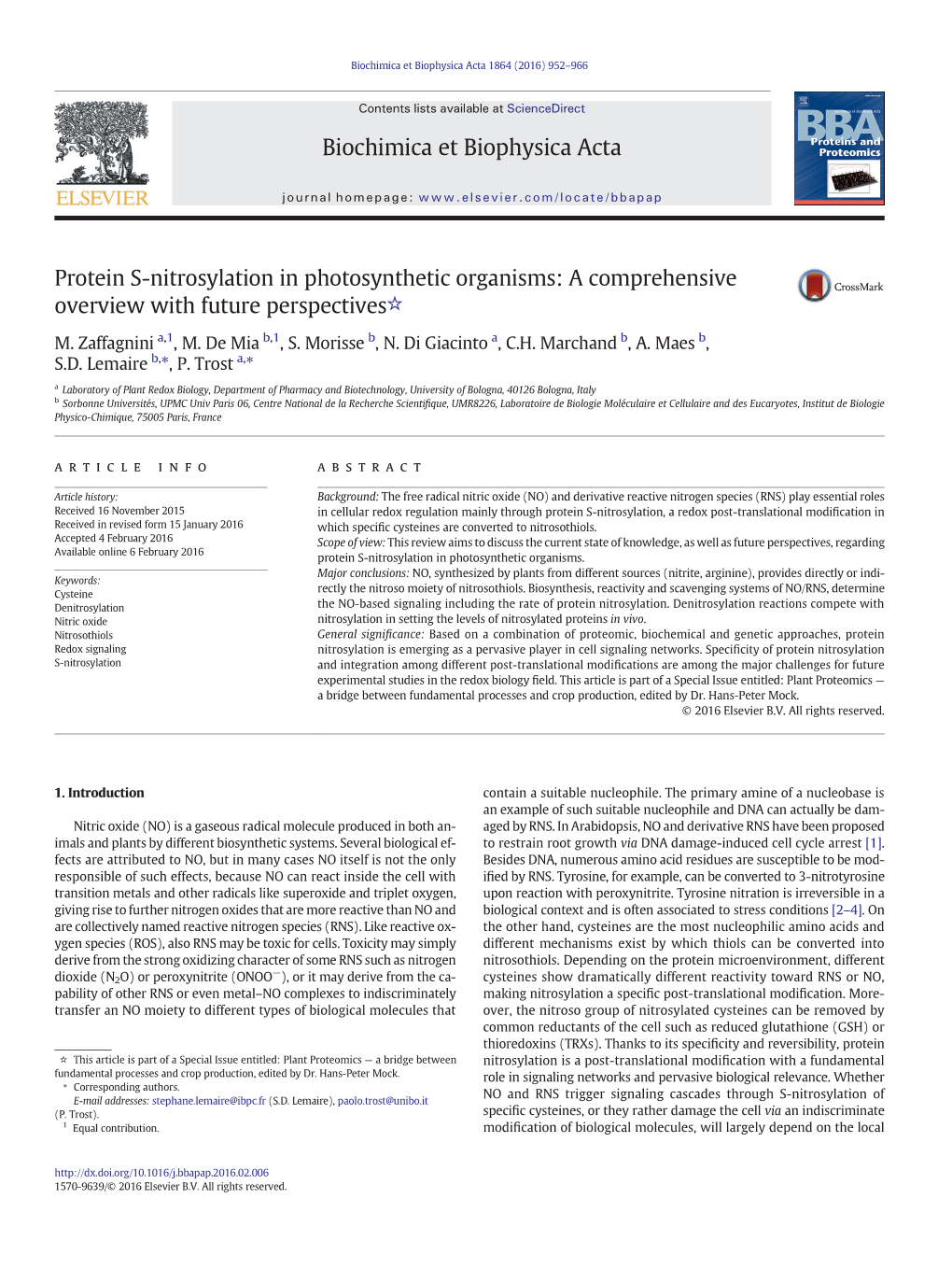 2016 Zaffagnini Trost BBA.Pdf