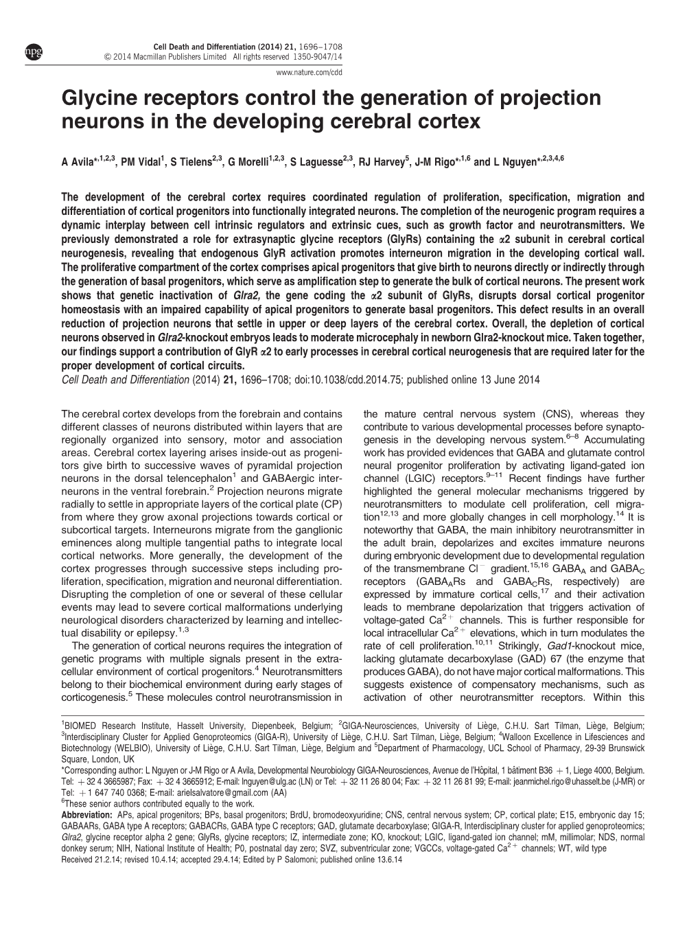 Glycine Receptors Control the Generation of Projection Neurons in the Developing Cerebral Cortex