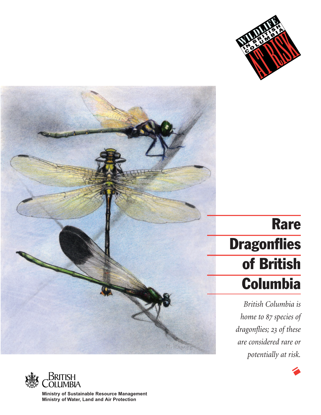 Rare Dragonflies of British Columbia