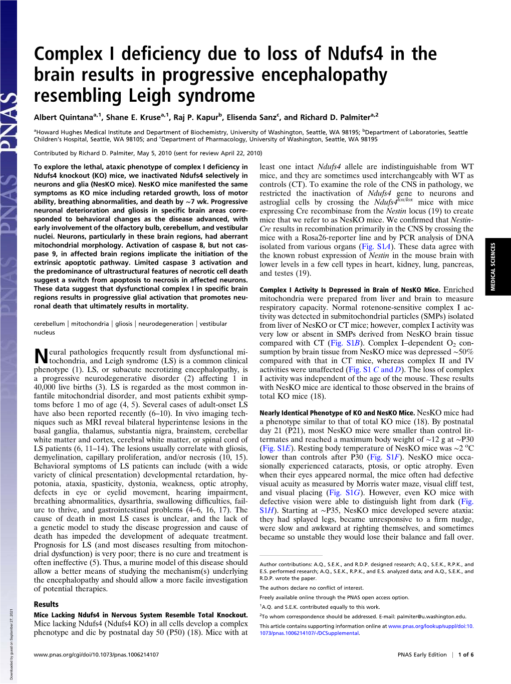 Complex I Deficiency Due to Loss of Ndufs4 in the Brain Results