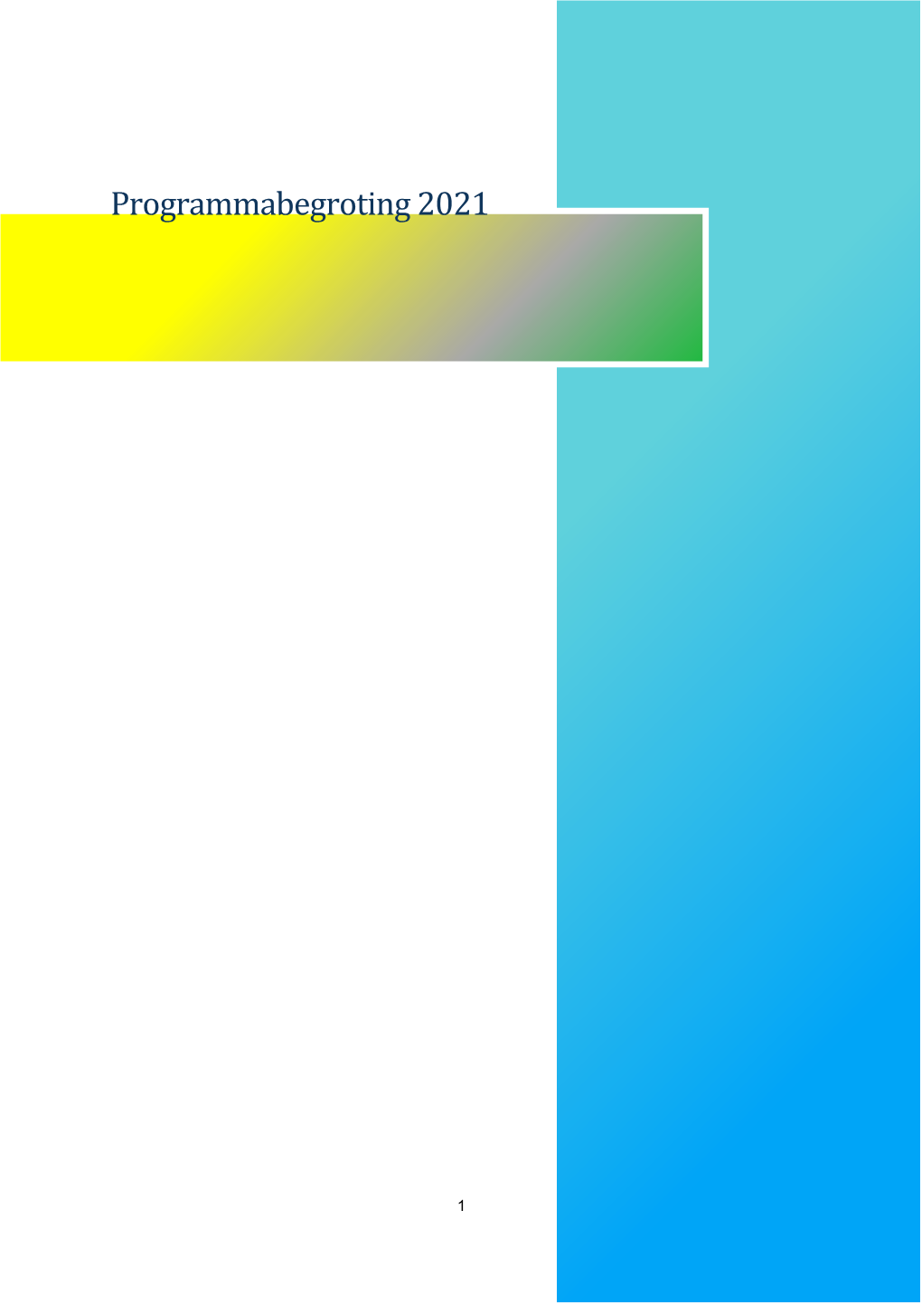 Programmabegroting 2021