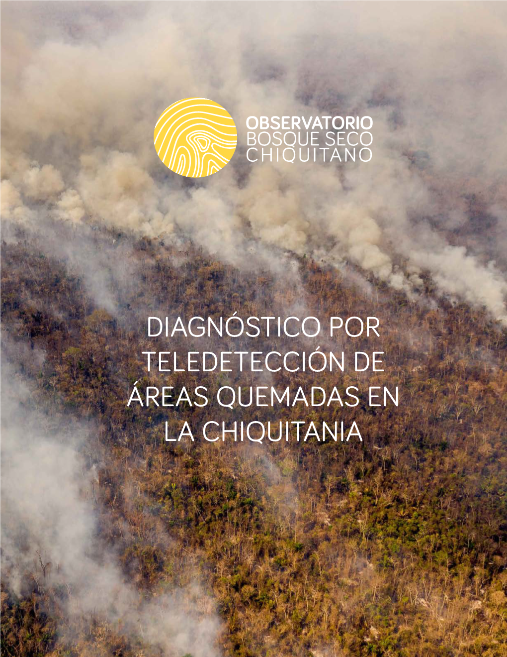 Diagnóstico Por Teledetección De Áreas Quemadas En La Chiquitania