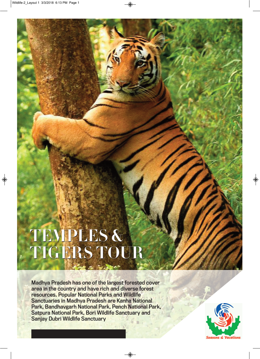 Temples & Tigers Tour