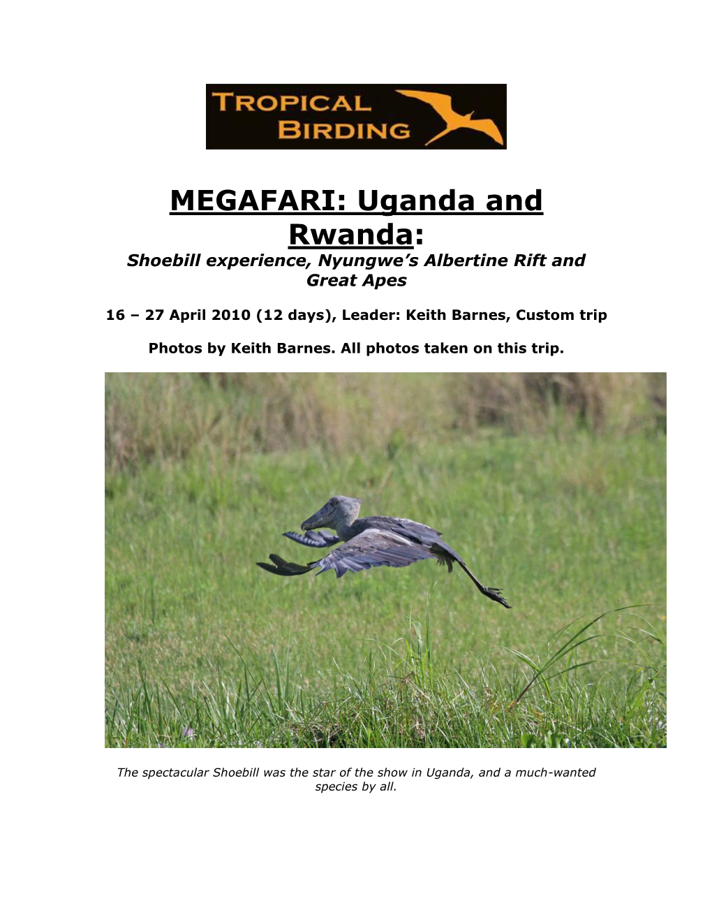 Uganda and Rwanda: Shoebill Experience, Nyungwe’S Albertine Rift and Great Apes