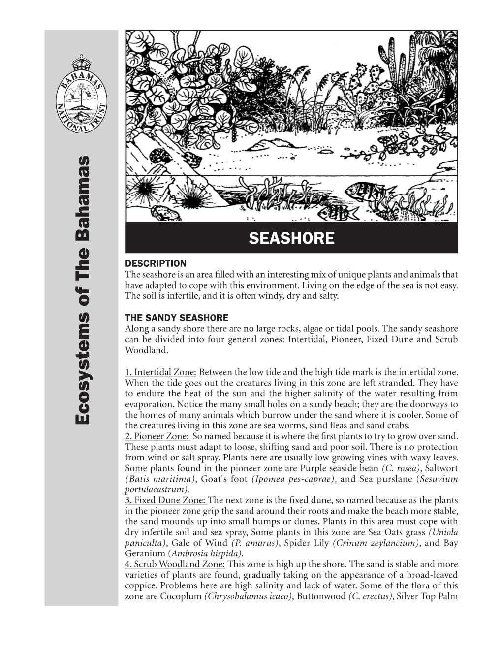 Seashore the SANDYSEASHORE the Soilisinfertile, Anditisoften Windy, Andsalty