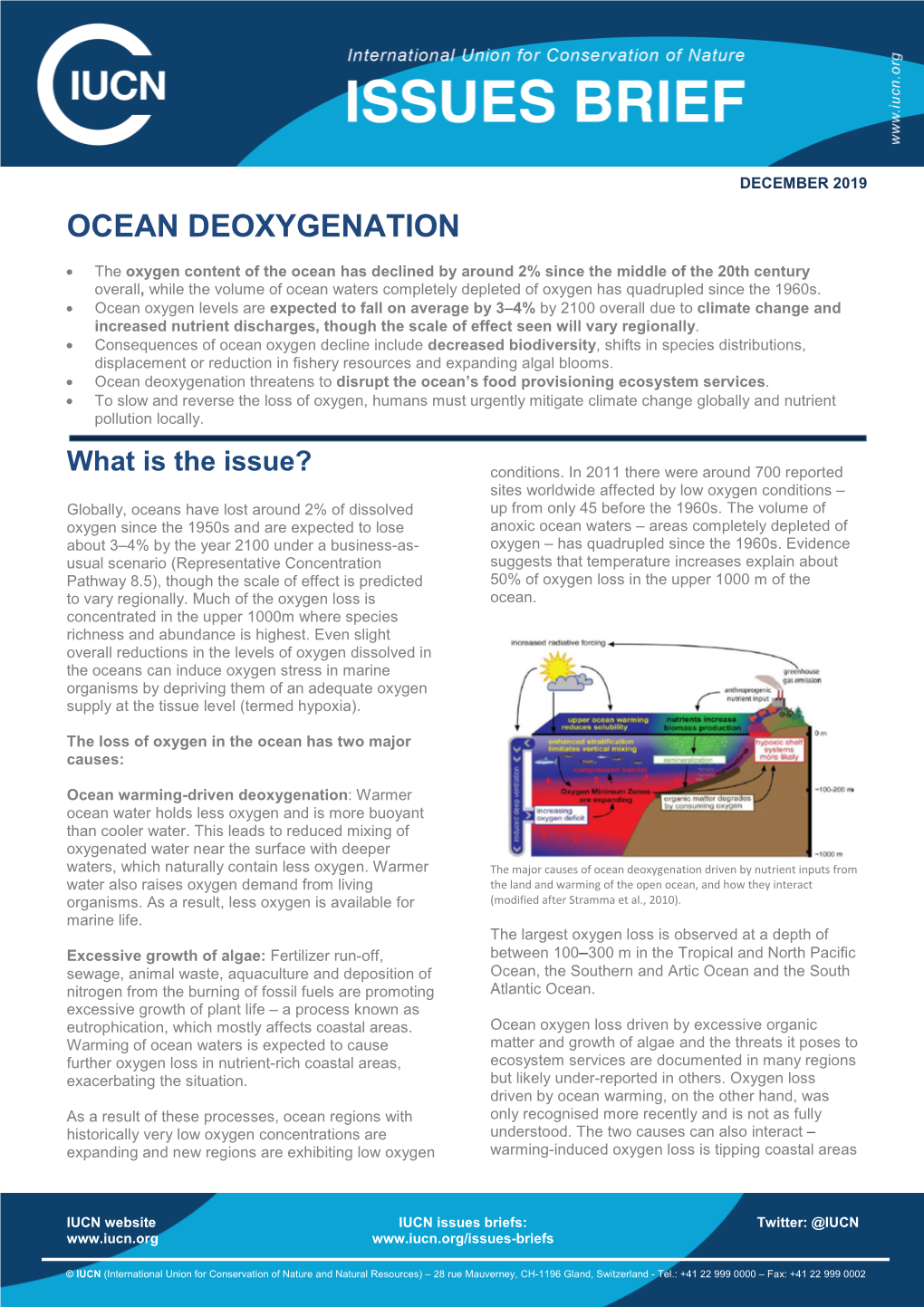 Issues Brief: Ocean Deoxygenation