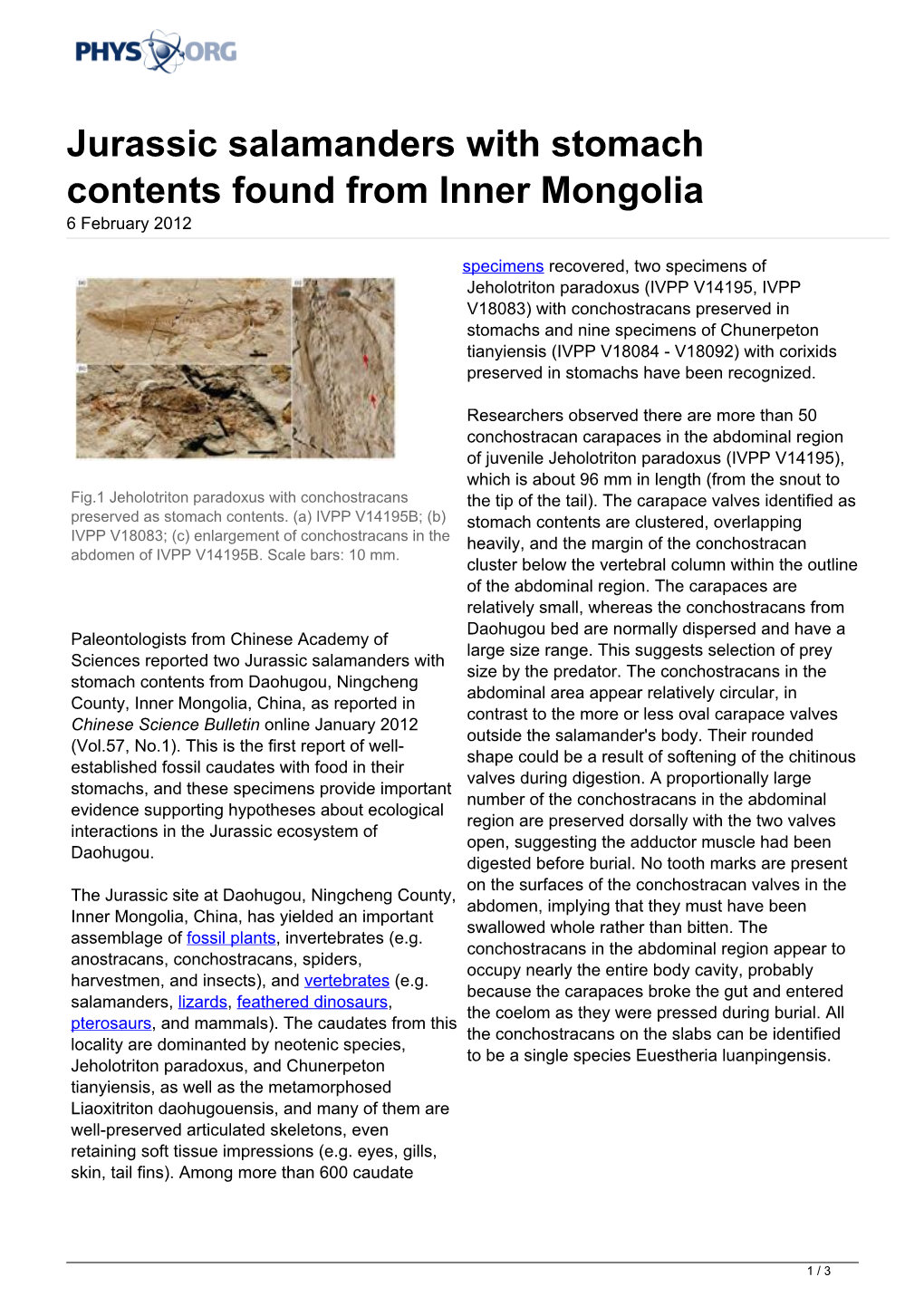 Jurassic Salamanders with Stomach Contents Found from Inner Mongolia 6 February 2012
