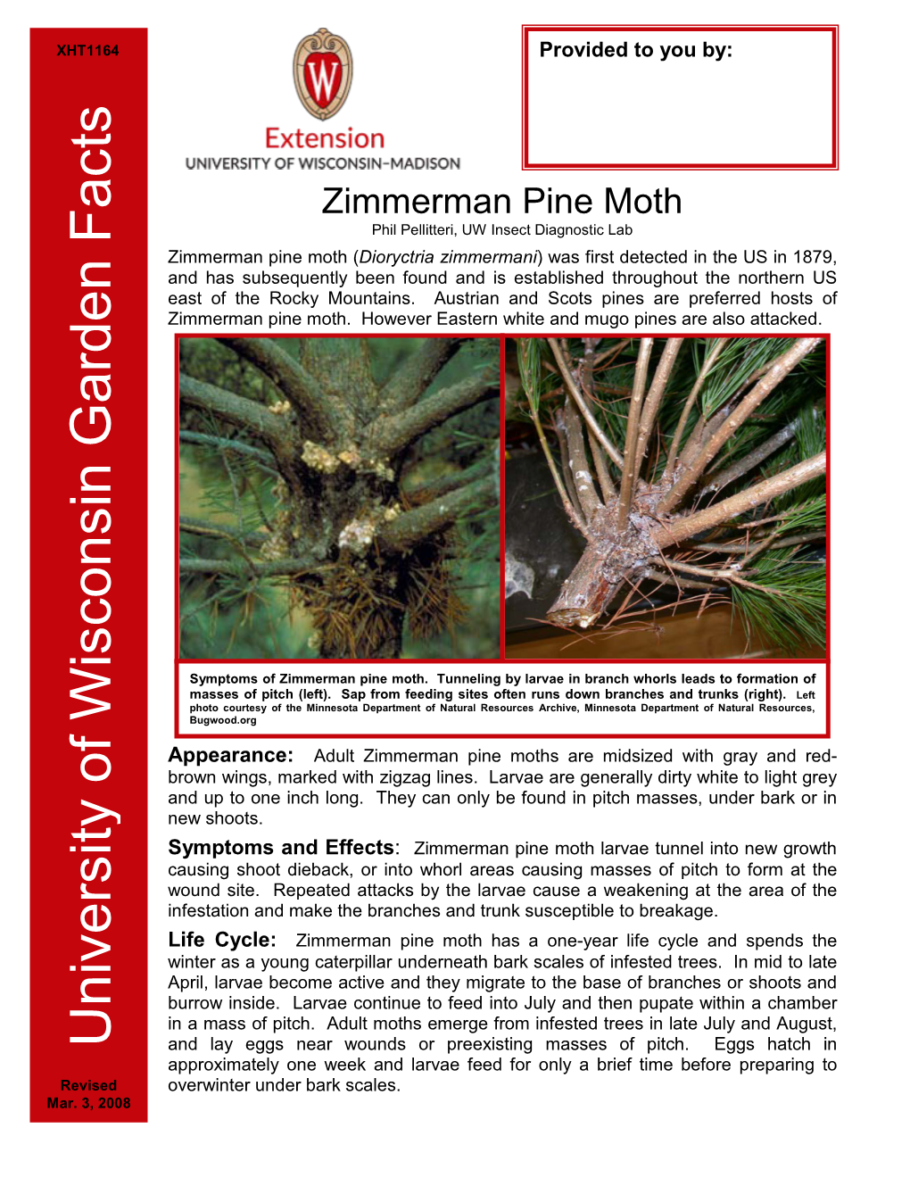 Zimmerman Pine Moth Phil Pellitteri, UW Insect Diagnostic Lab