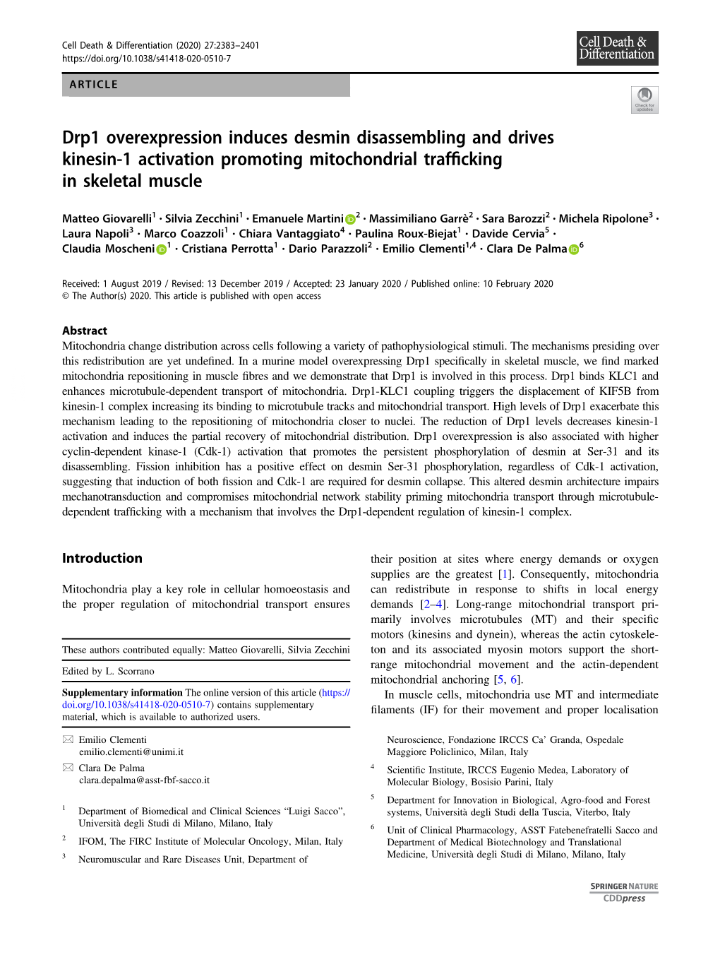 Drp1 Overexpression Induces Desmin Disassembling and Drives Kinesin-1 Activation Promoting Mitochondrial Trafﬁcking in Skeletal Muscle