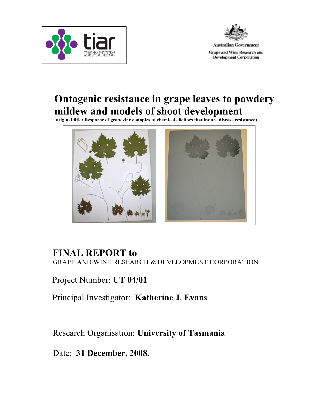 Ontogenic Resistance in Grape Leaves to Powdery Mildew and Models Of
