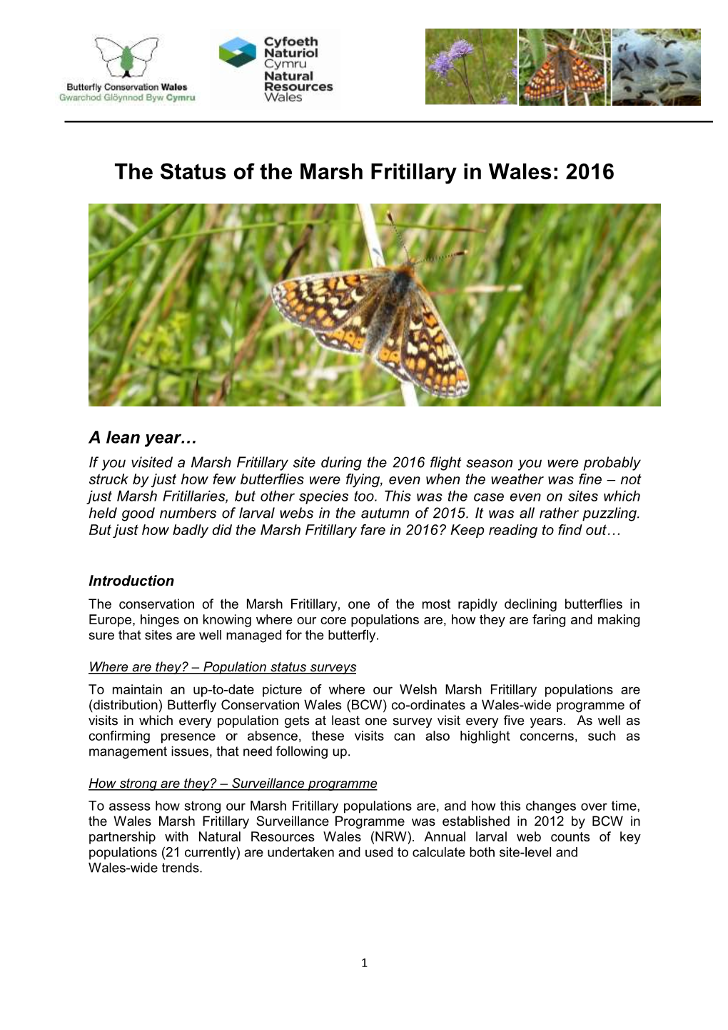 The Status of the Marsh Fritillary in Wales: 2016