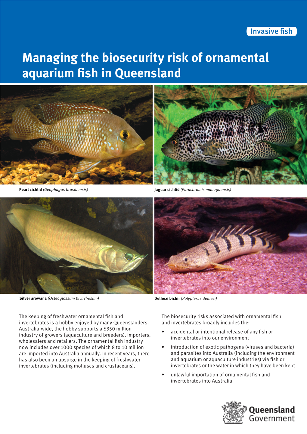 Managing the Biosecurity Risk of Ornamental Aquarium Fish in Queensland