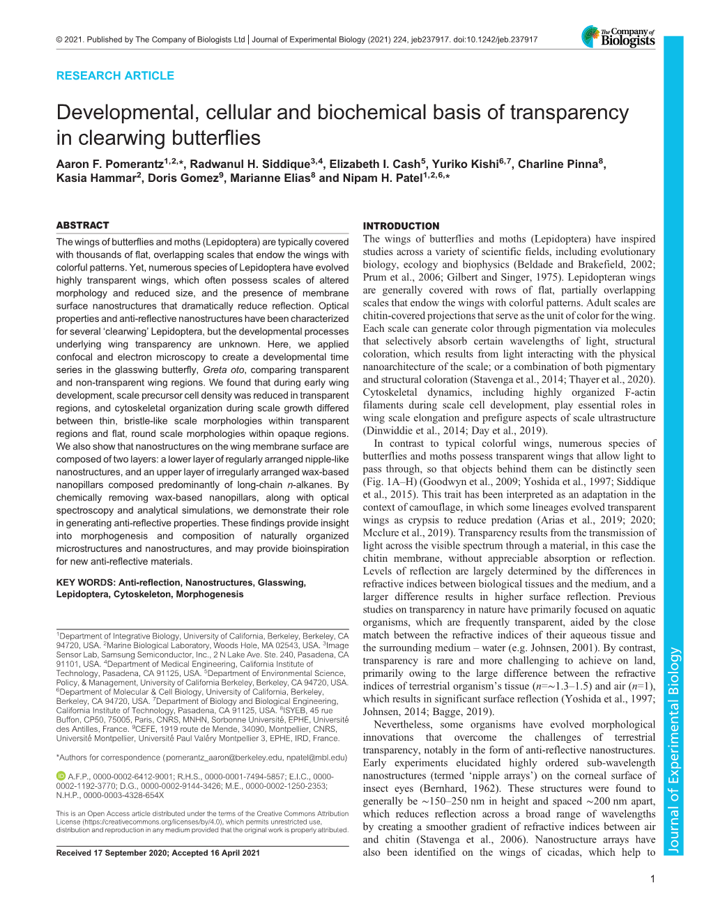 Developmental, Cellular and Biochemical Basis of Transparency in Clearwing Butterflies Aaron F