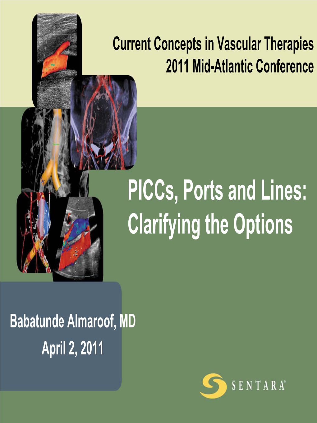 Piccs, Ports and Lines: Clarifying the Options