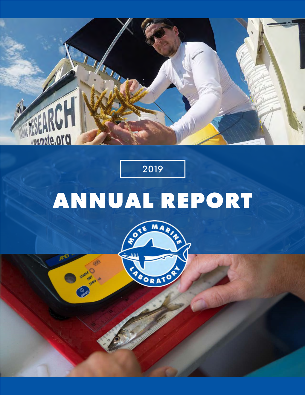 ANNUAL REPORT Mote’S 2019 Annual Report Presents Accomplishments and Finances for the 2019 Fiscal Year, from Oct