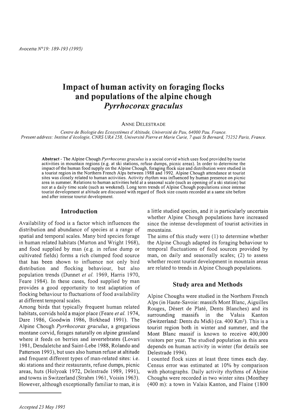 Impact of Human Activity on Foraging Flocks and Populations of the Alpine Chough Pyrrhocorax Graculus