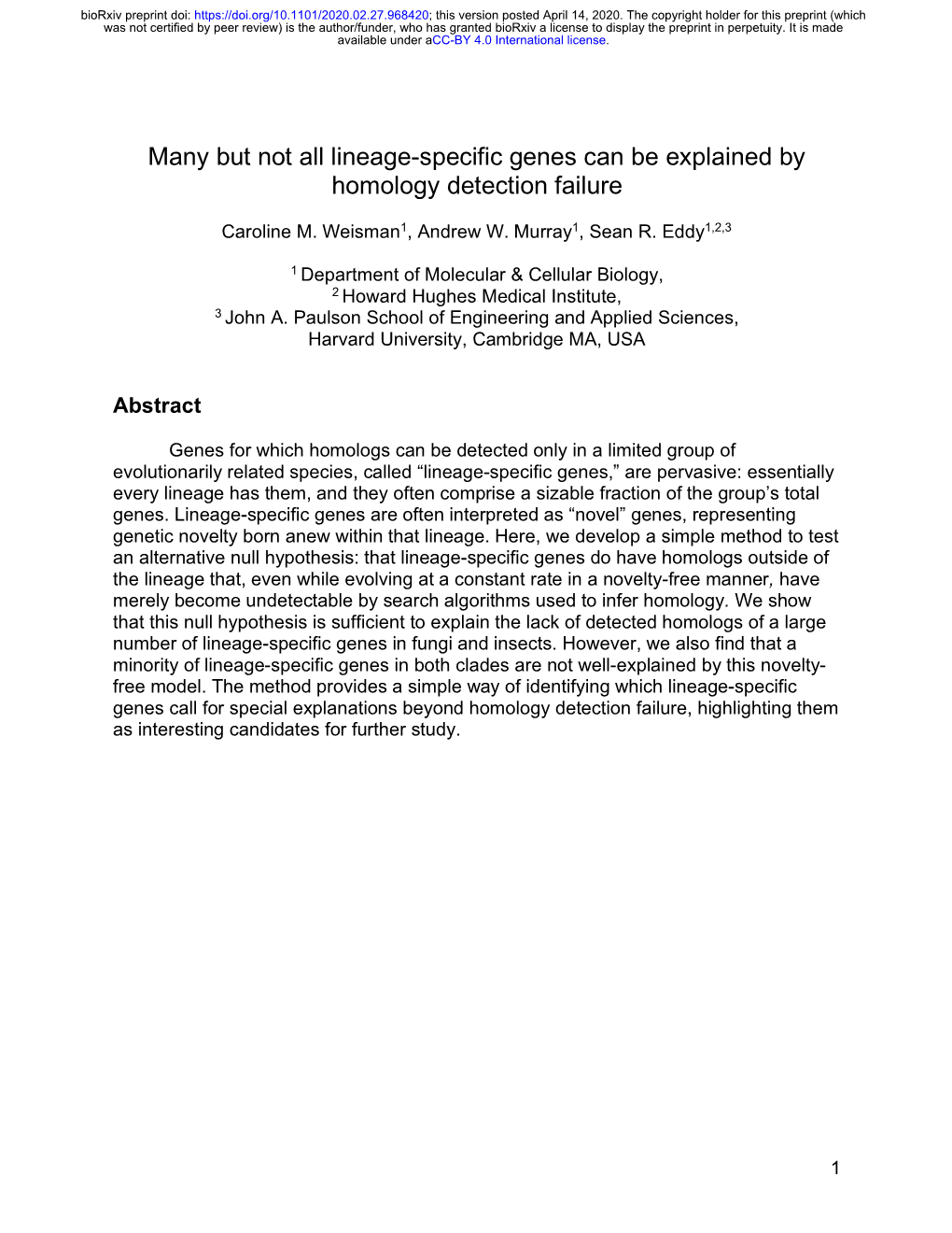 Many but Not All Lineage-Specific Genes Can Be Explained by Homology Detection Failure