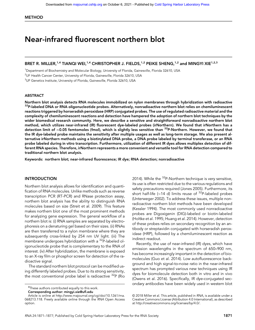 Near-Infrared Fluorescent Northern Blot