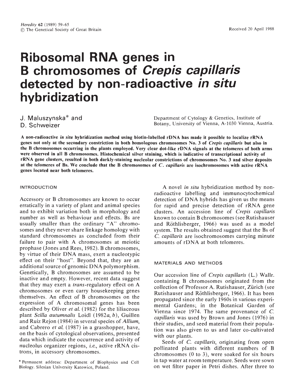 Detected by Non-Radioactive in Situ Hybridization