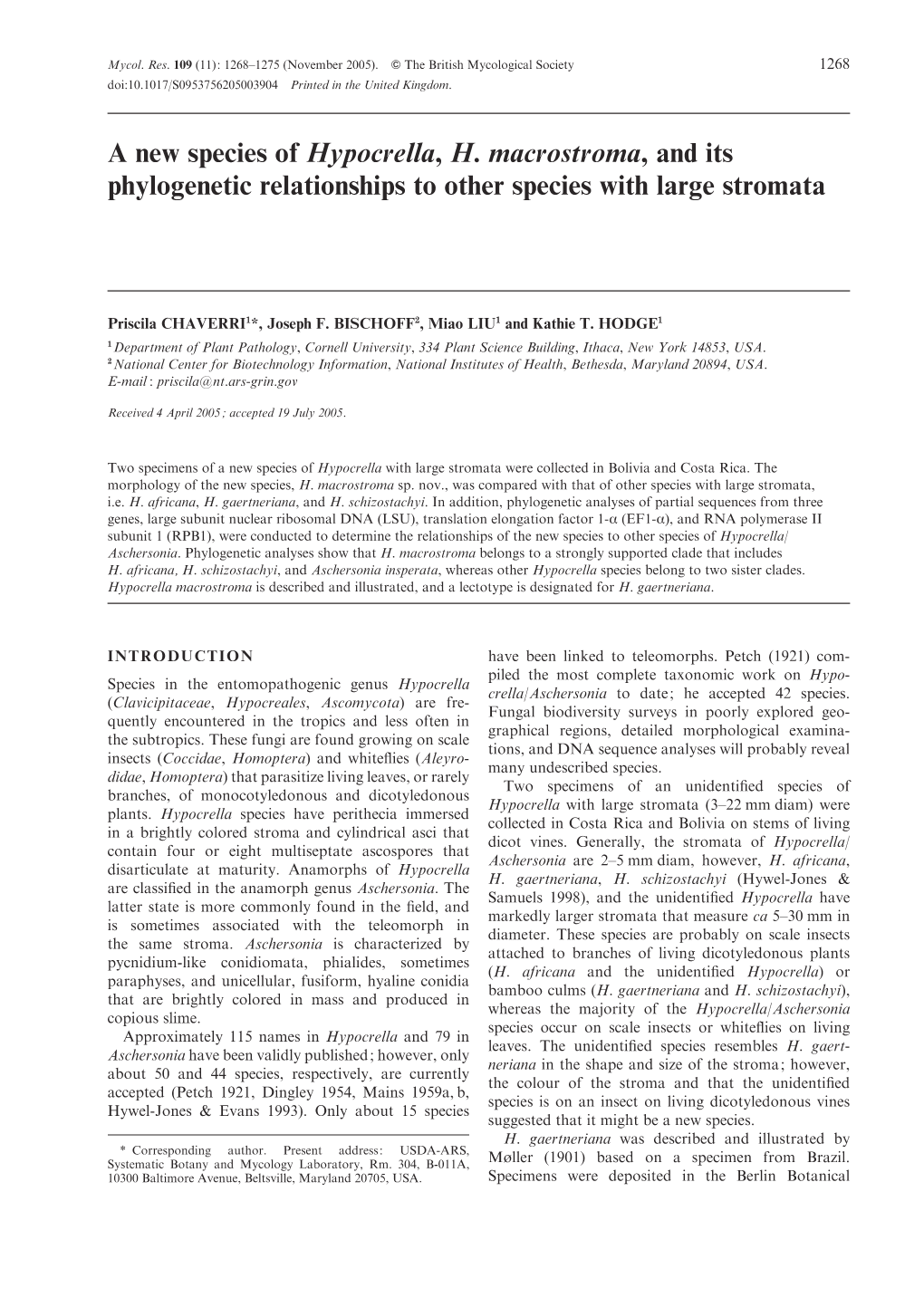 A New Species of Hypocrella, H. Macrostroma, and Its Phylogenetic Relationships to Other Species with Large Stromata